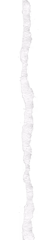 Ripped piece of paper used as highlight element