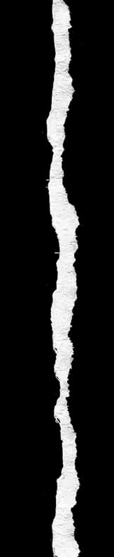 Ripped piece of paper used as highlight element