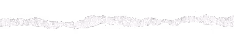 Ripped piece of paper used as highlight element